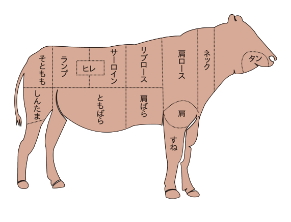 牛の肉部位